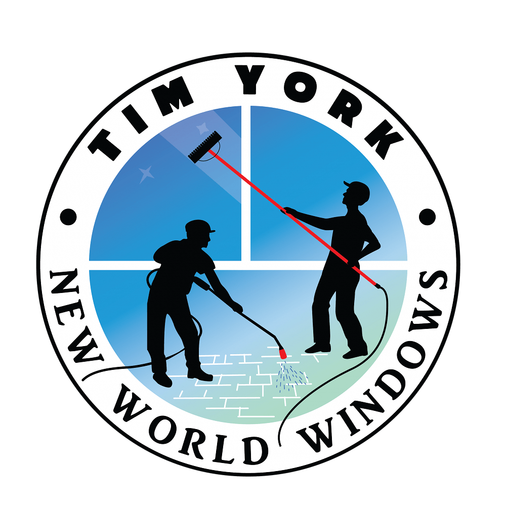 New world windows logo